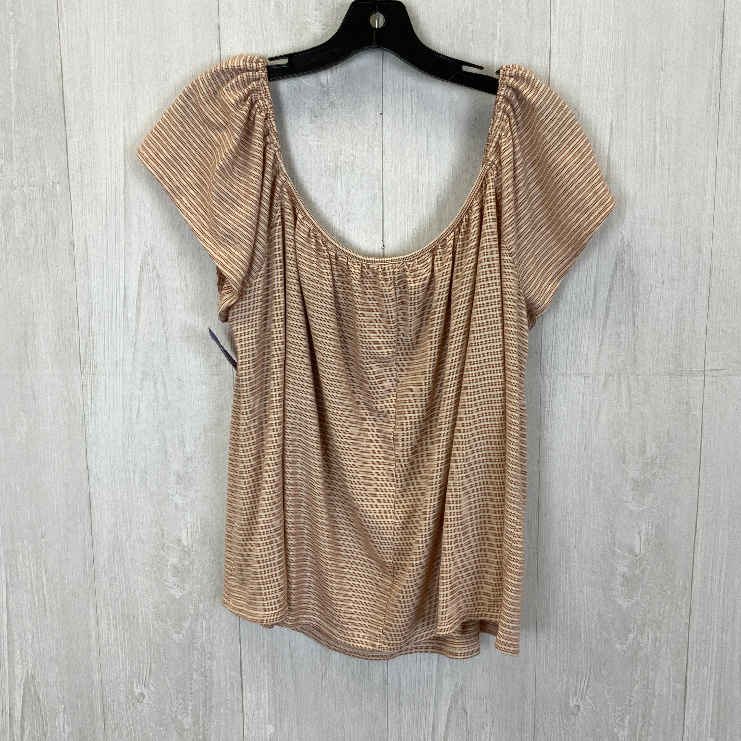 Top Short Sleeve By Ana  Size: 2x