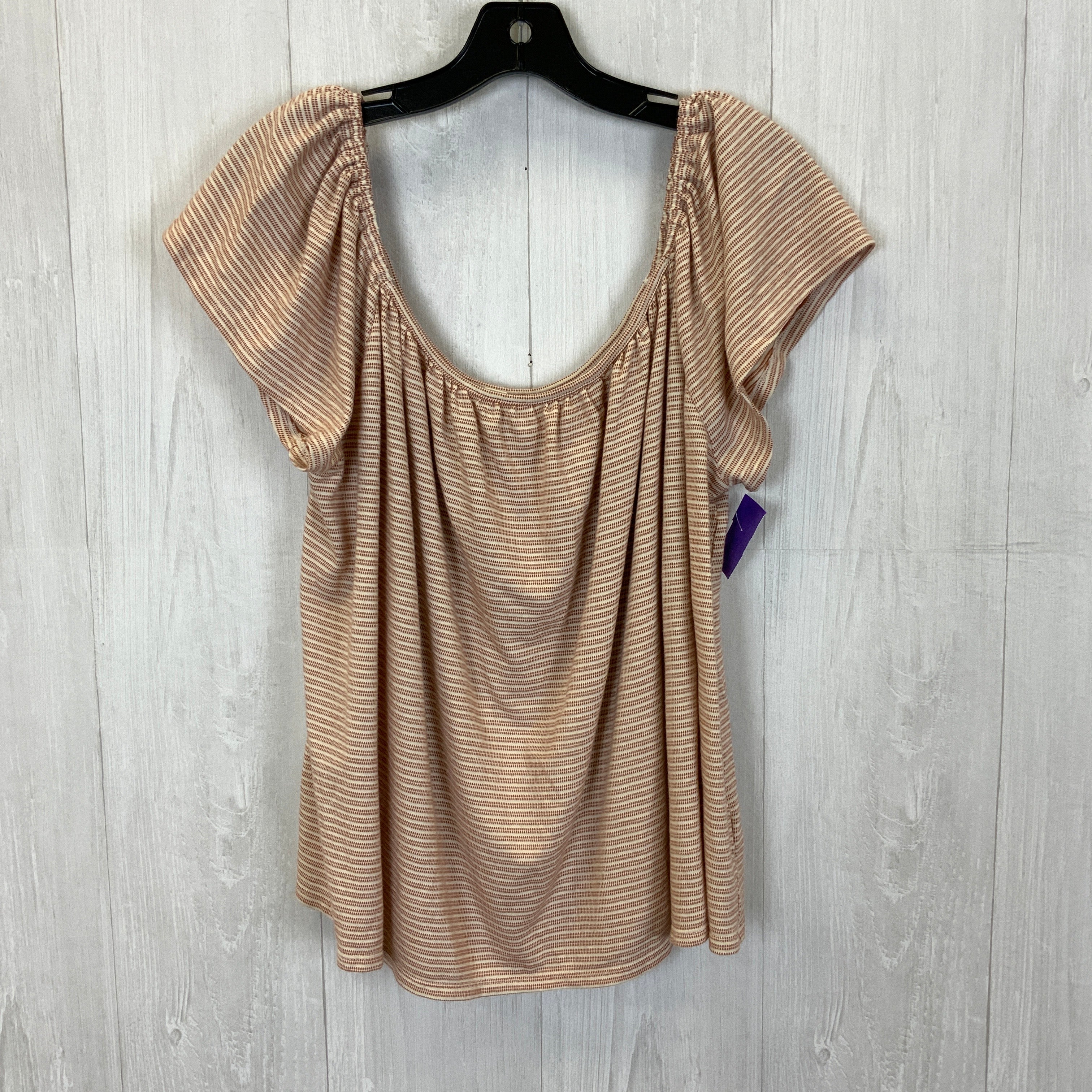 Top Short Sleeve By Ana  Size: 2x